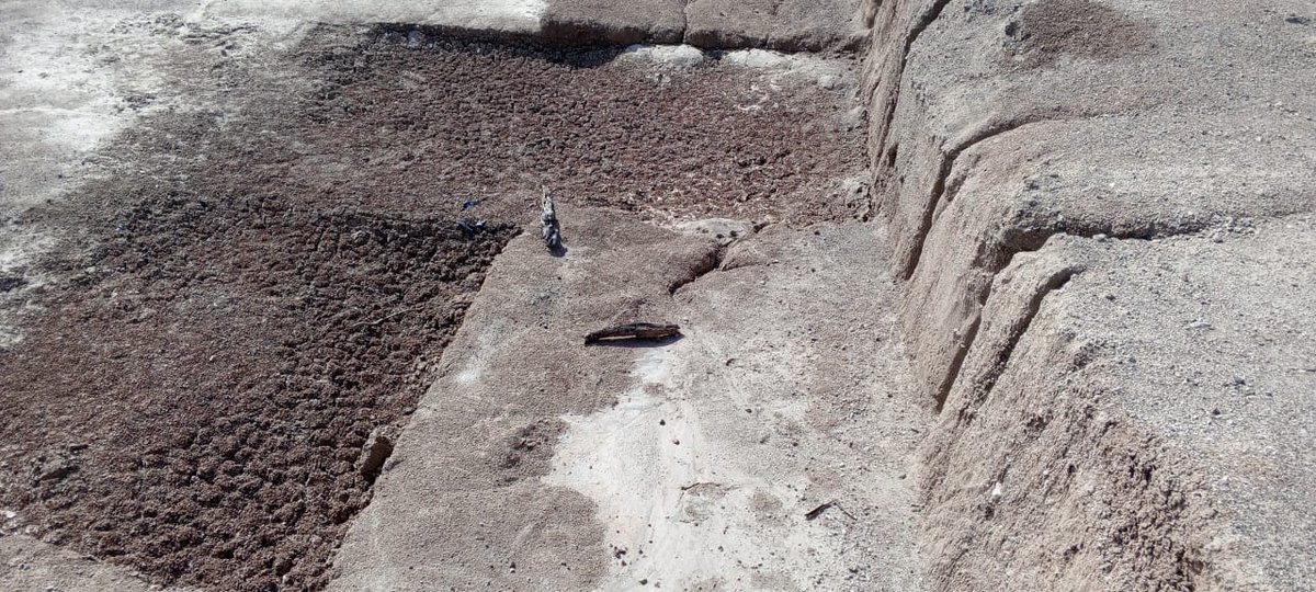 A Concept Development Committee is in Turkana to conduct a feasibility study for the development of a Kenya, Home of Human Origins Project. This project will add a new dimension to Kenya's tourism and open up unique opportunities on the origin of mankind.