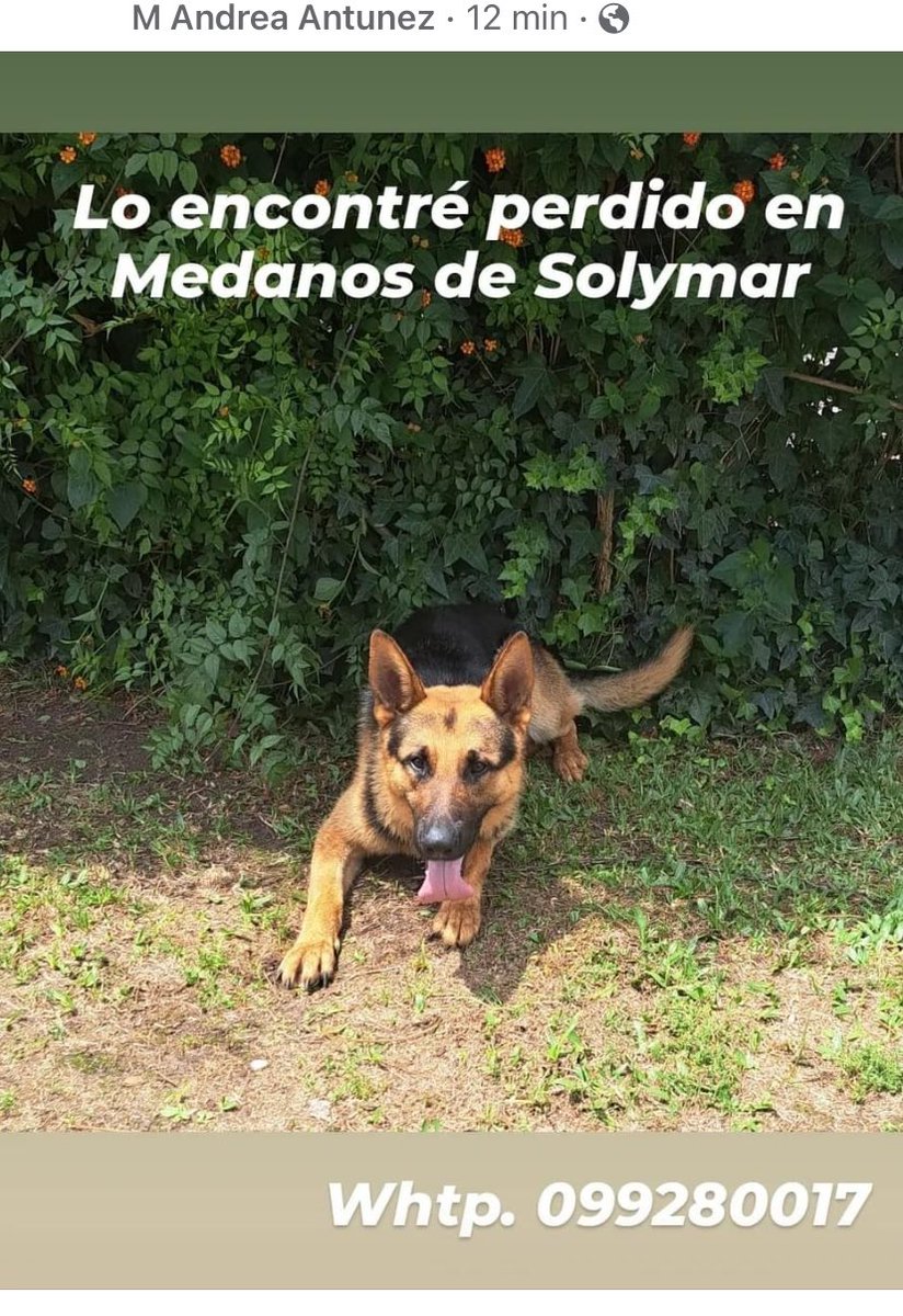 Adriana (@adriana43587622) on Twitter photo 