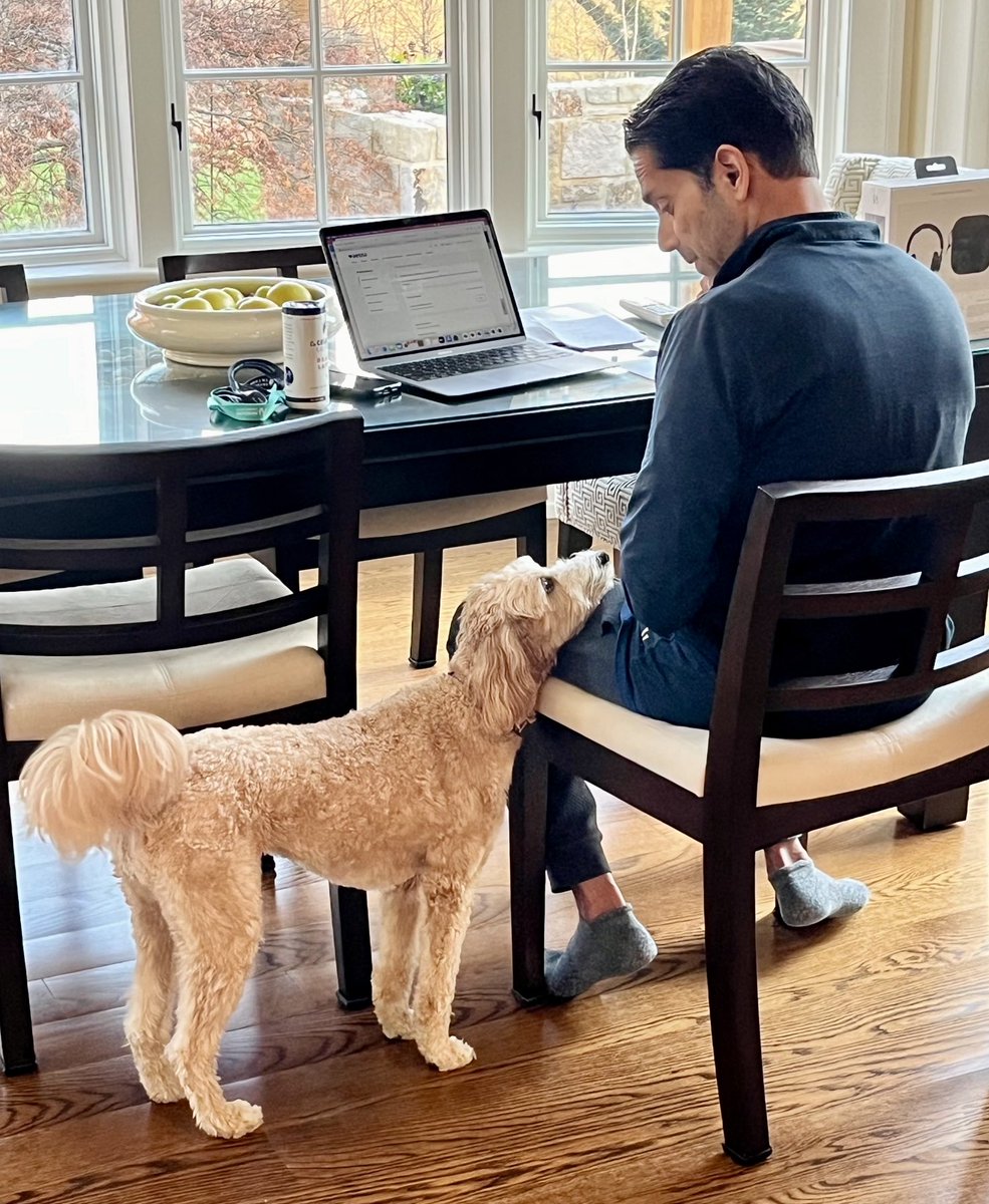 drsukenshah's tweet photo. When can we go out to play? 🐕 soon Hazelnut. ‘‘Tis the weekend before #IPOS23 and putting the finishing touches on talks and the final program - getting excited! ⁦@POSNA_org⁩ #orthotwitter ⁦@Nemours⁩ https://t.co/a5nmO0p3ej