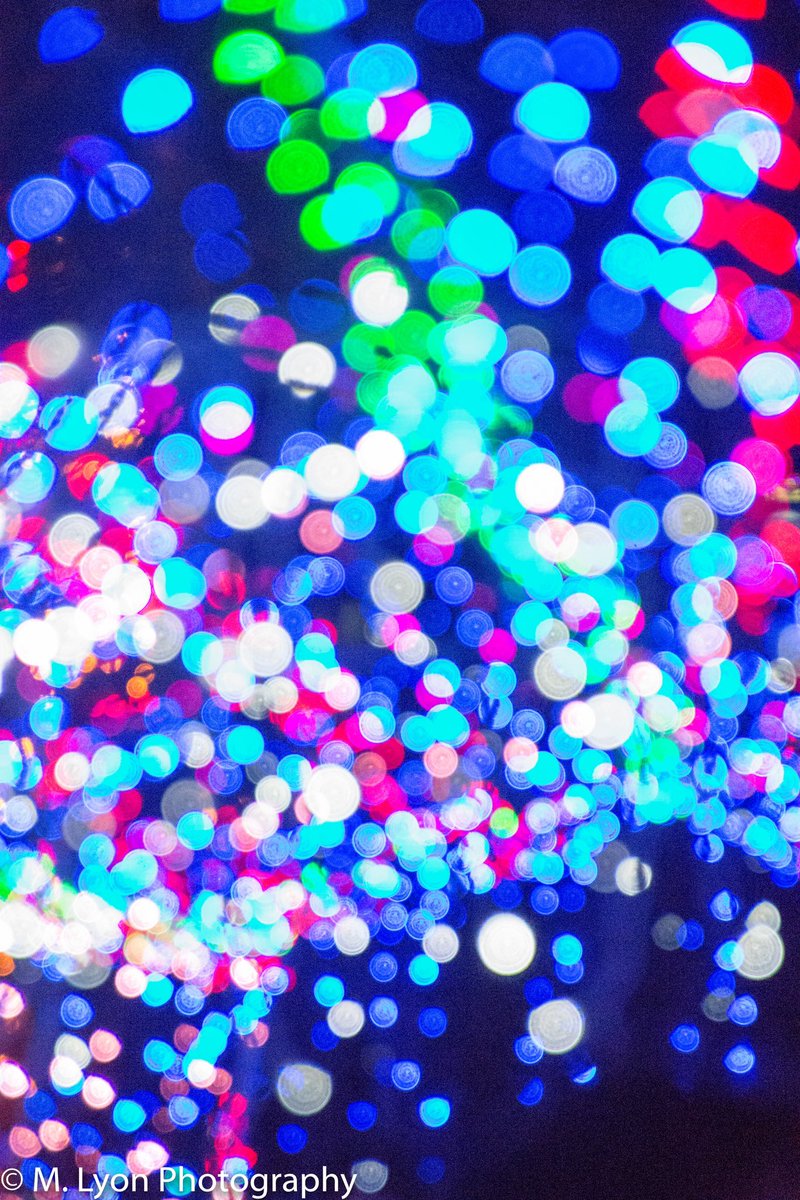 mlyonphotos's tweet photo. Christmas illuminations bokeh. #Bokeh #okinawa #okinawa_photo_community #Circle #Defocused #LightingEquipment #Decoration #Pattern #Glowing #Night #colors #holidays https://t.co/SHN97Eqdep