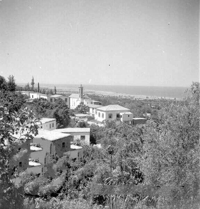 Blueyonetwo's tweet photo. #Lapithos/ Most probably 1950s/Photographer unknown/ #Cyprus// #Lapta/1950ler/ fotografci bell degil/ #Kibris #TooFarAway https://t.co/WZ2opPZMH8