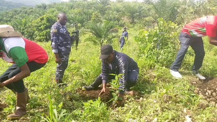 BubanzaCommune2's tweet photo. 1/6 #Burundi:Kuri uyu wa 2/12/2023,Ubuserukizi bw'Umugambwe @CnddFdd mu Ntara Nshasha ya @CnddFddBuja,bwatanguje Isekeza ryo gutera ikawa,ivyo bikorwa vyitwabwe n'indongozi zo Ku rwego rw'Igihugu n'Intara,bikaba vyabereye Ku mutumba #Rugunga wa Komine n'Intara ya @BubanzaProvince https://t.co/ykiTcVLtB9