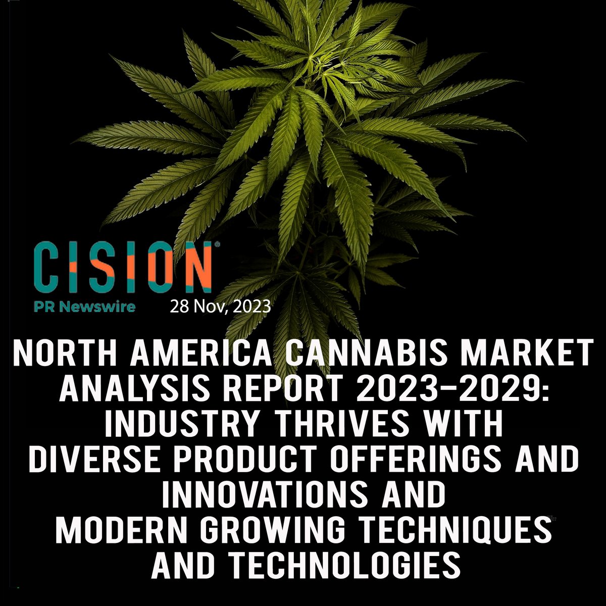 NEWS  You Might Have Missed         
 #cannabiscommunity #global #us #globalawakening  #mmj #cannabislife #weedlife  #mmjcommunity  #market  #technology #grow #industry