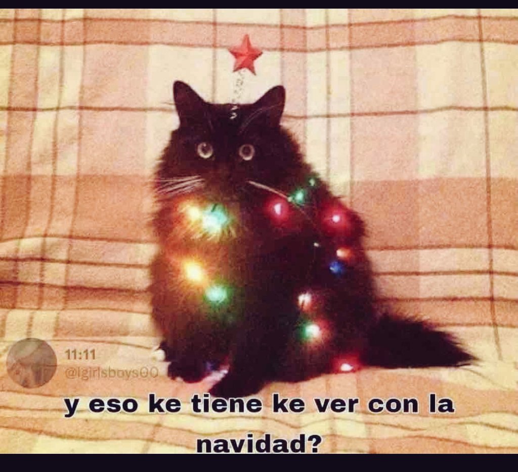 El profesor: En diciembre serán 2 agendas, teleconsulta y 2 revisiones de tema por semana. 

Yo en corto.....