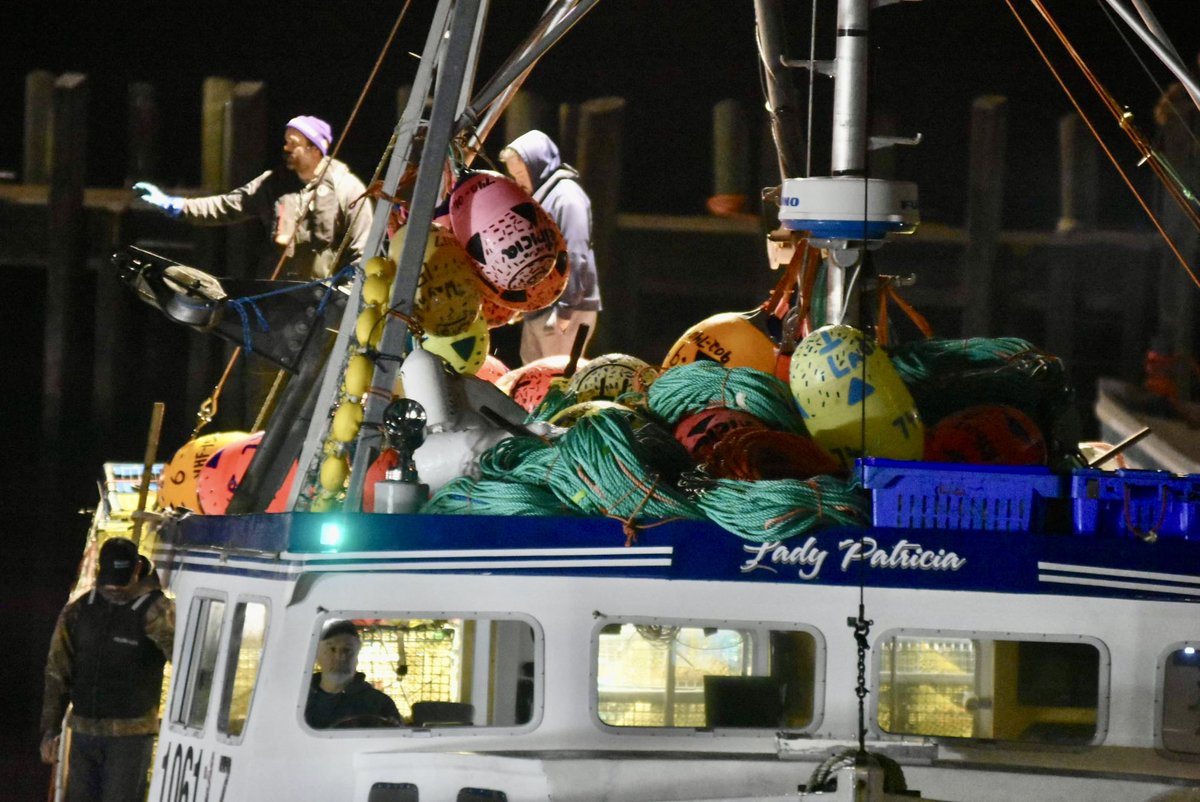TinaComeaunews's tweet photo. More photos from Dumping Day as the LFA 34 lobster fishery in southwestern NS got underway the morning of Dec. 2. Photos taken in Pinkney’s Point, Yarmouth County. The 6-month season runs to May 31. #staysafe #DumpingDay @SaltWireNews @chronicleherald @TVanguardnews https://t.co/yNZWN2mX7j