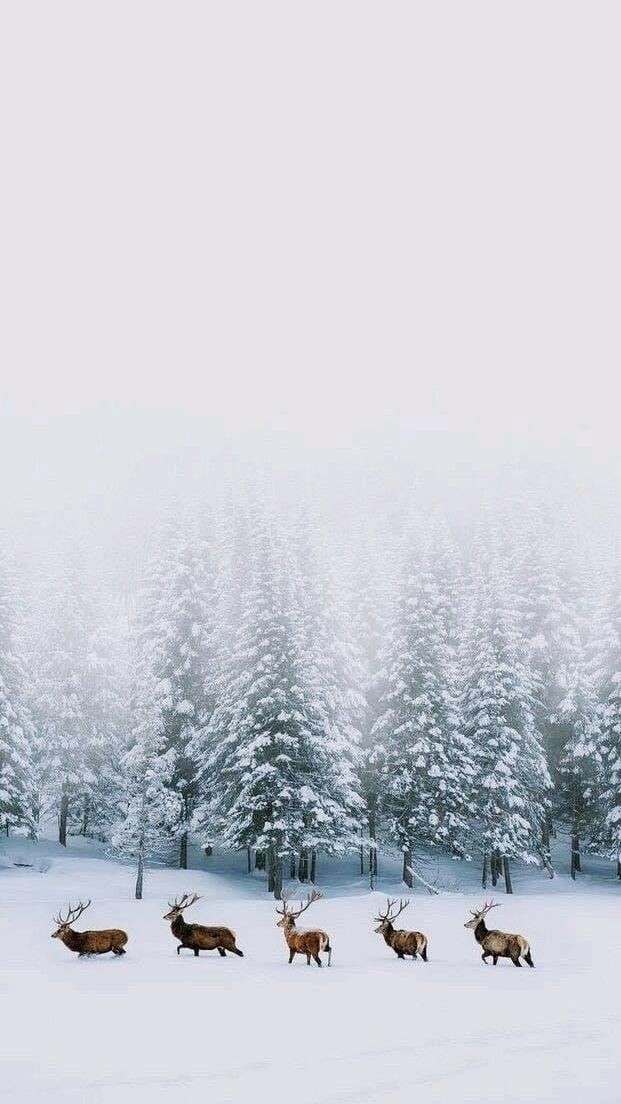 ESantinoli's tweet photo. Welcome december ♐ https://t.co/aslAyuKmY2