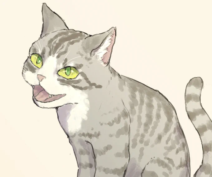 息抜き 