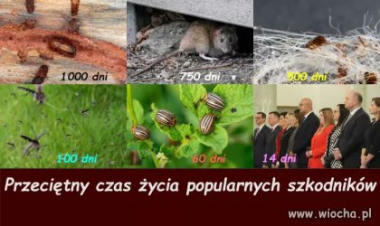 hawkmoon1978's tweet photo. Ciekawostka biologiczna na temat czasu życia szkodników https://t.co/oR9LAmD7ul