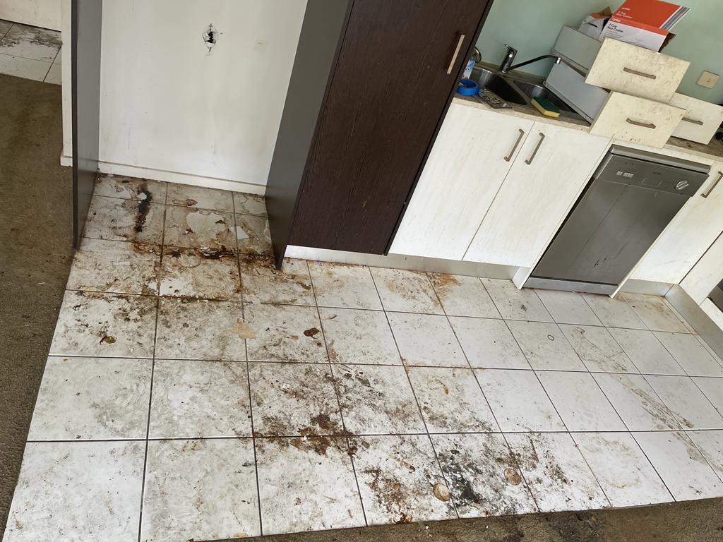 cleantorest's tweet photo. Clean To Rest provides efficient cleaning services
*Vacate Cleaning
*Move-in Cleaning
*Pre Sale Cleaning
*Carpet steam Cleaning 
📞 : 1300 371 117
📱 : 0451 551 604
📧 : info@cleantorest.com.au
🌐 https://t.co/RkLYR1yuoI
#cleantorest #cleaningservice#carpetcleaning #deepcleaning https://t.co/WlTK0h8AxR