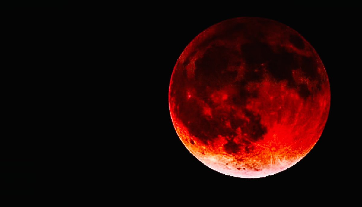 Nico Buysse 🔻🌍🇧🇪 tweet media