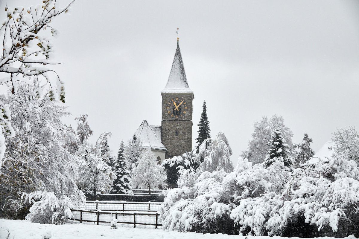 Swiss snow! In Kilchberg, just outside of Zürich where it has been snowing for the past 24 hours and still falling.