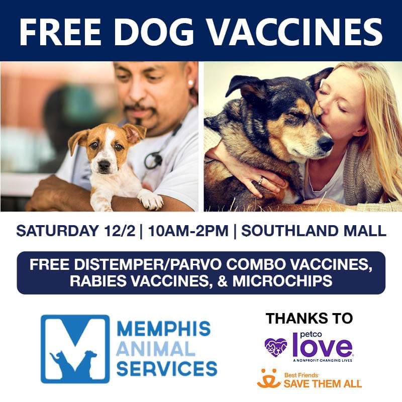 AdoptMAS tweet media