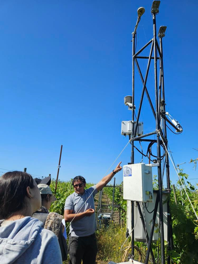 Estudiantes del Doctorado en Ciencias Agrarias, junto al académico Gonzalo Díaz y el equipo del CITRA #UTalca, realizaron un relevamiento de plantas afectadas por hongos de la madera en el huerto de vid de la empresa Concha y Toro.🌿