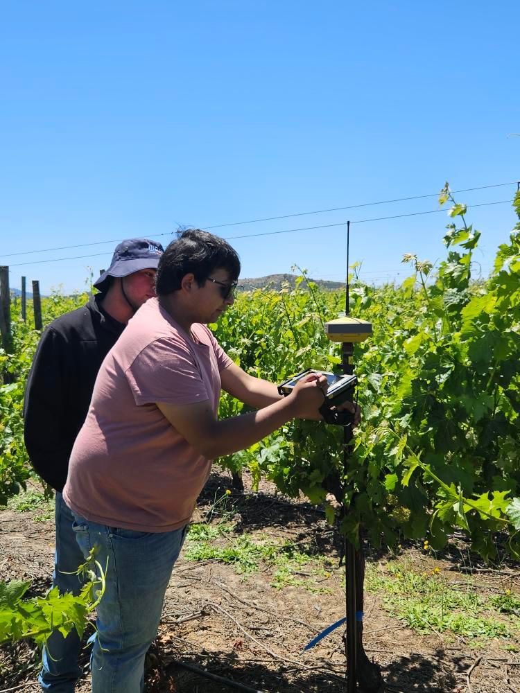 Ciencias Agrarias UTalca tweet media