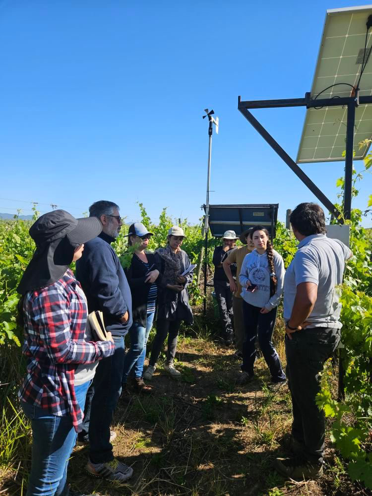 Ciencias Agrarias UTalca tweet media