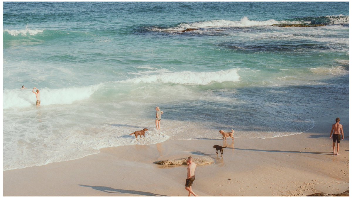 Bodi is the best beach ever…
#35mm #kodak #nikonf2 #film