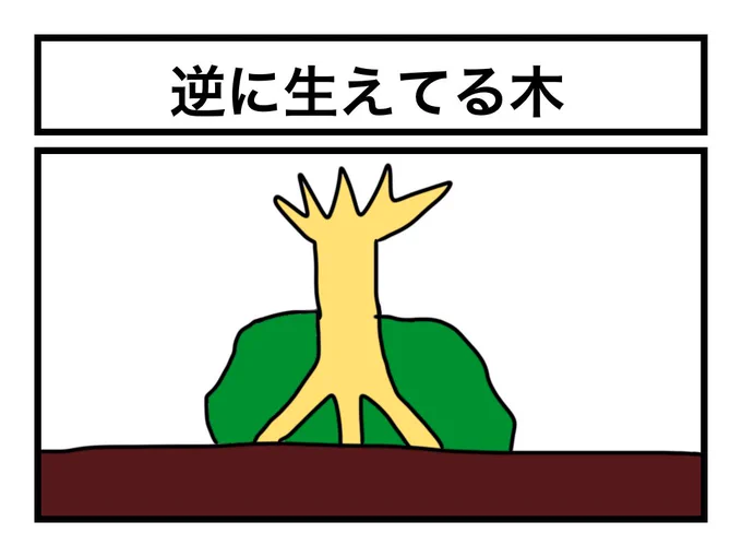 「逆に生えてる木」 