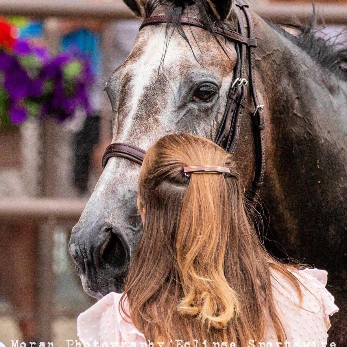 MG Racing tweet media