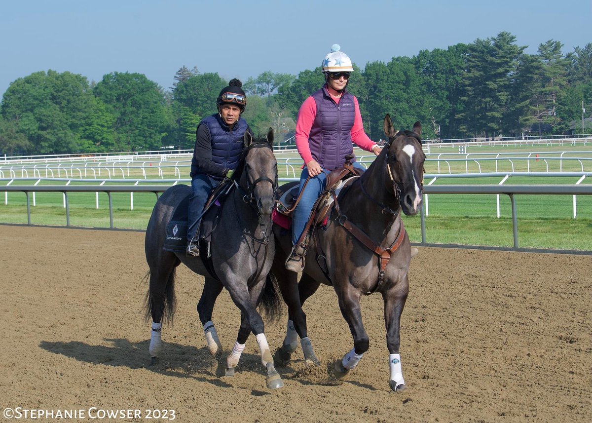 MG Racing tweet media