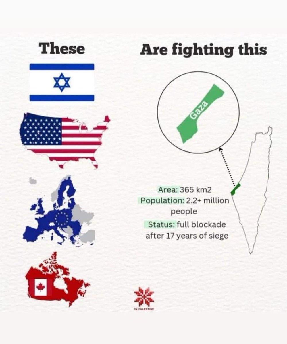 SARA 𓂆 tweet media