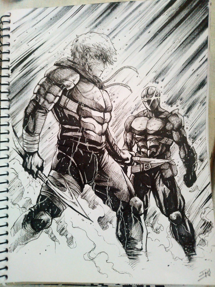 P.ignatus tweet media