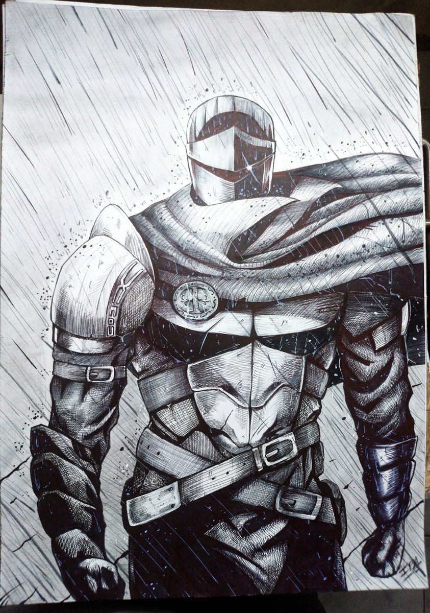 P.ignatus tweet media