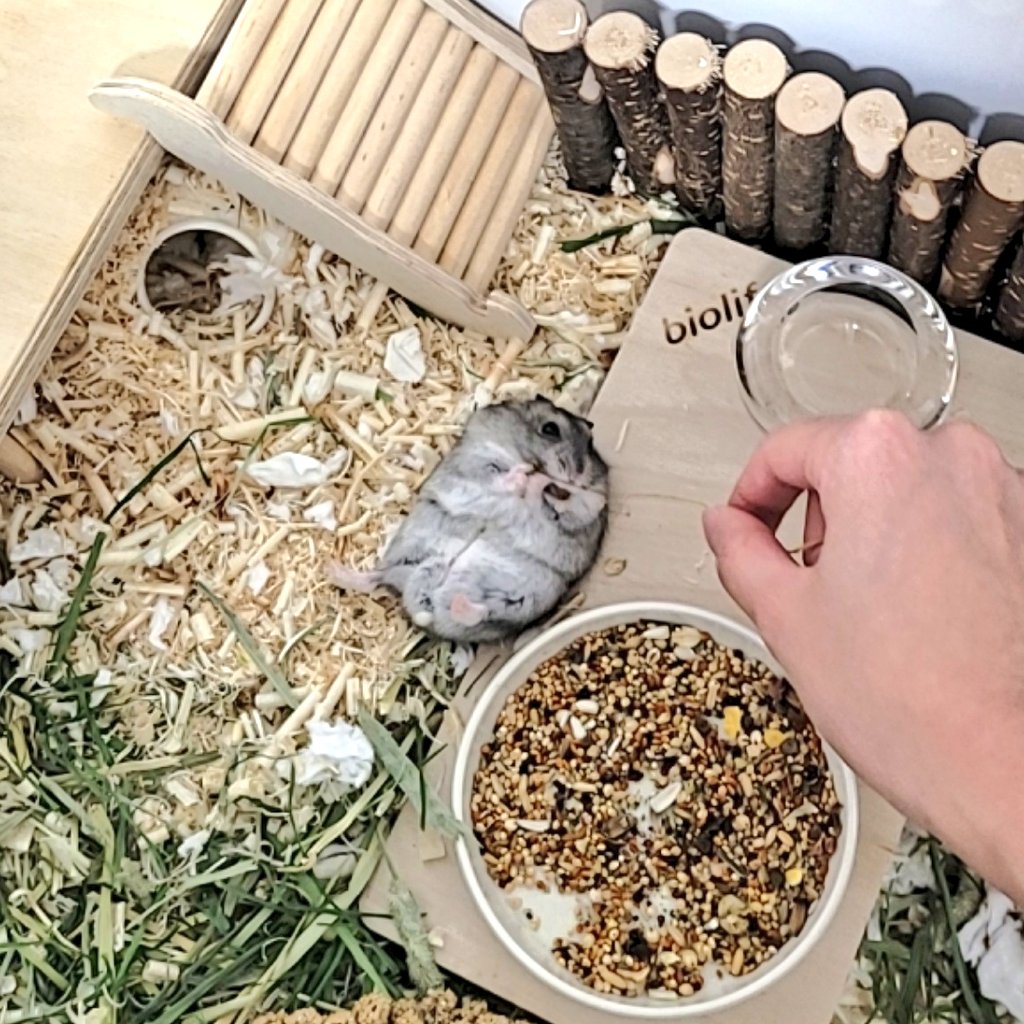 먹는건 디비지게 잘먹는데…………………………………그렇게까지 해서 먹어야겠니?