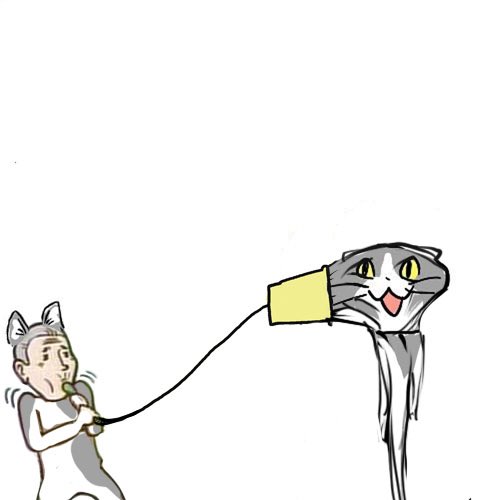 「cat teaser」 illustration images(Latest｜RT&Fav:50)