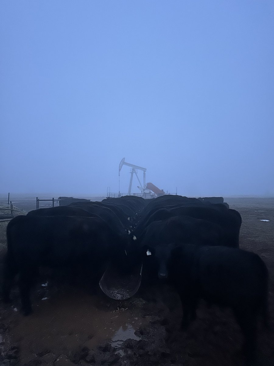 lane broadbent (@lanebroadbent) on Twitter photo 