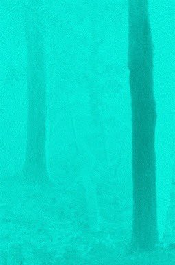 0xpujimak's tweet photo. Finally scooped a second @_deadends_. Loving the contrast between these two.  Works by @figure31. 
♥️♥️♥️ https://t.co/pclz3y79t2