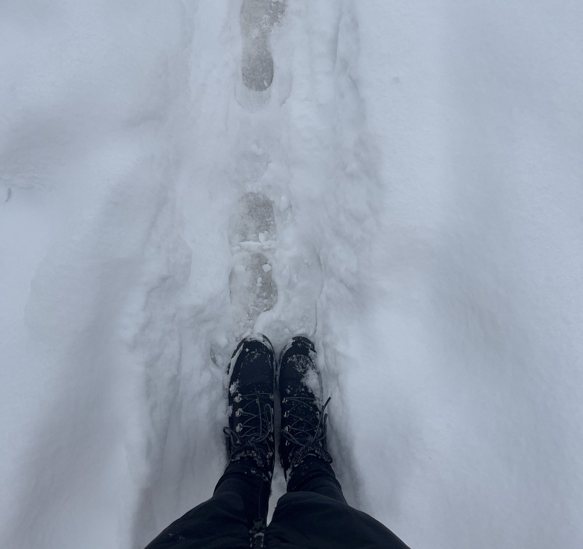 Ines Akrap (@inesakrap) on Twitter photo Speaker recommendation … will walk through blizzard to talk Core Web Vitals 😅😊 <a href="/gdgmunich/">GDG Munich</a>
#devfest #munich #GDElife Speaker recommendation … will walk through blizzard to talk Core Web Vitals 😅😊 <a href="/gdgmunich/">GDG Munich</a>
#devfest #munich #GDElife