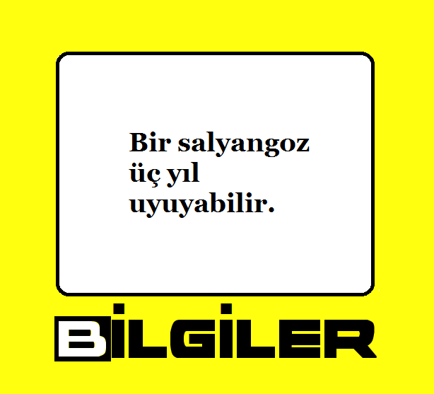 Bilgilertr's tweet photo. #bil #bilgi #bilgiler https://t.co/raHJbO4igN