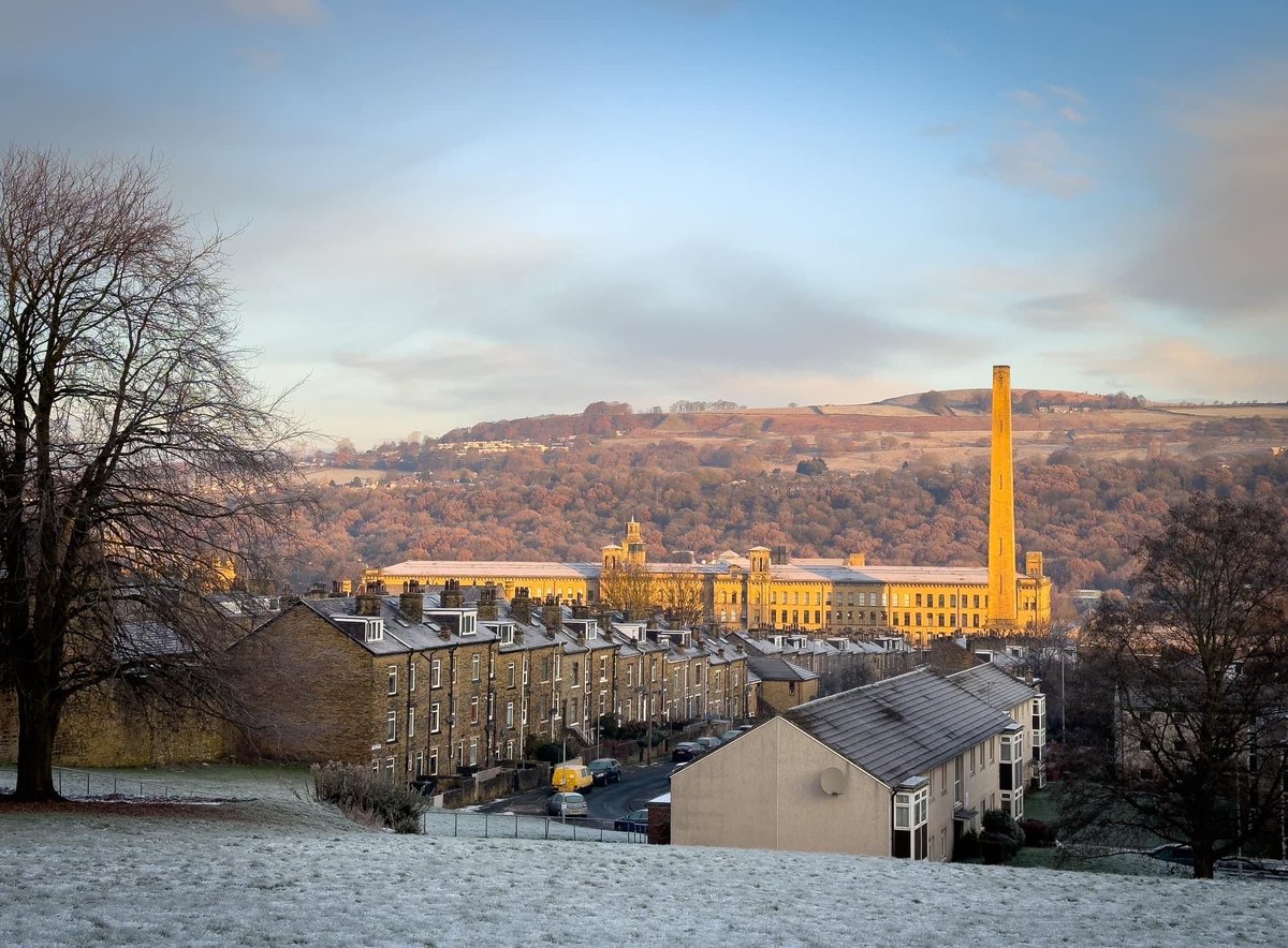 SaltsMill's tweet photo. Another eye-popper of a bright blue day. Thanks to Wm Eastells florist in Shipley for this gorgeous photo! https://t.co/zjoFZf1pJ9