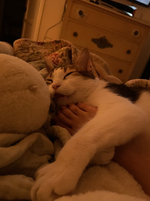 i wish i had it in me to go out but like https://t.co/ljxXfQj8Un