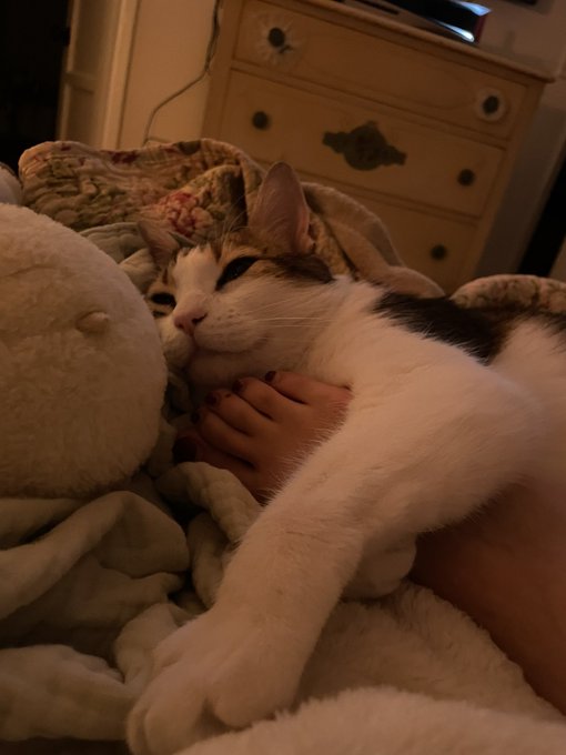 i wish i had it in me to go out but like https://t.co/ljxXfQj8Un