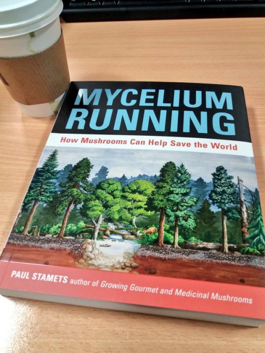 thehealthb0t's tweet photo. This is the complete and authoritative text on fungi and our future concerning mycelium. A very informative but technical book, great for mycology enthusiasts. Paul Stamets is a god of fungi and may actually save the planet with mycelium if we listen: https://t.co/XN2gE8tSEu #ad https://t.co/yHxB9g34mJ