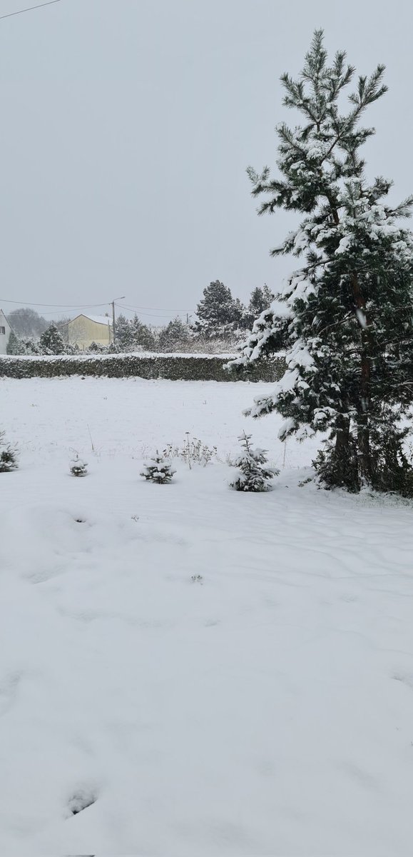 Nasza piękna zima☃️❄️
#GoodMorningEveryone #dzieńdobry #ZIMA #WINTER #śnieg #snow #weekend #Polska #zimno