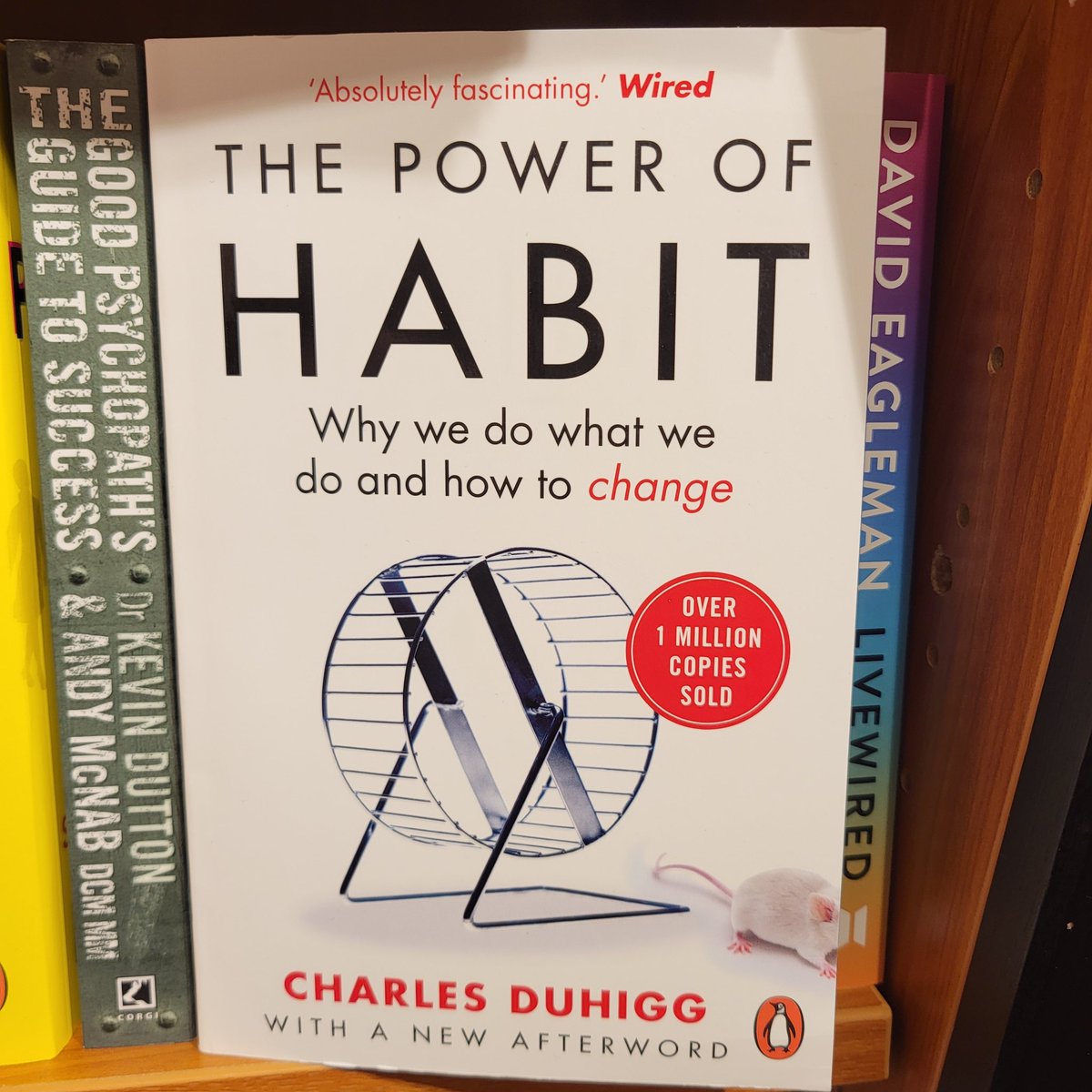 Angus Grady tweet media