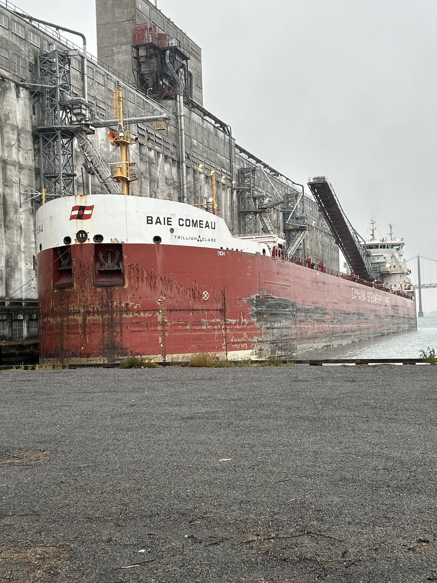 Welcome to the Baie Comeau arriving last night to load out soybeans this weekend @CSLships