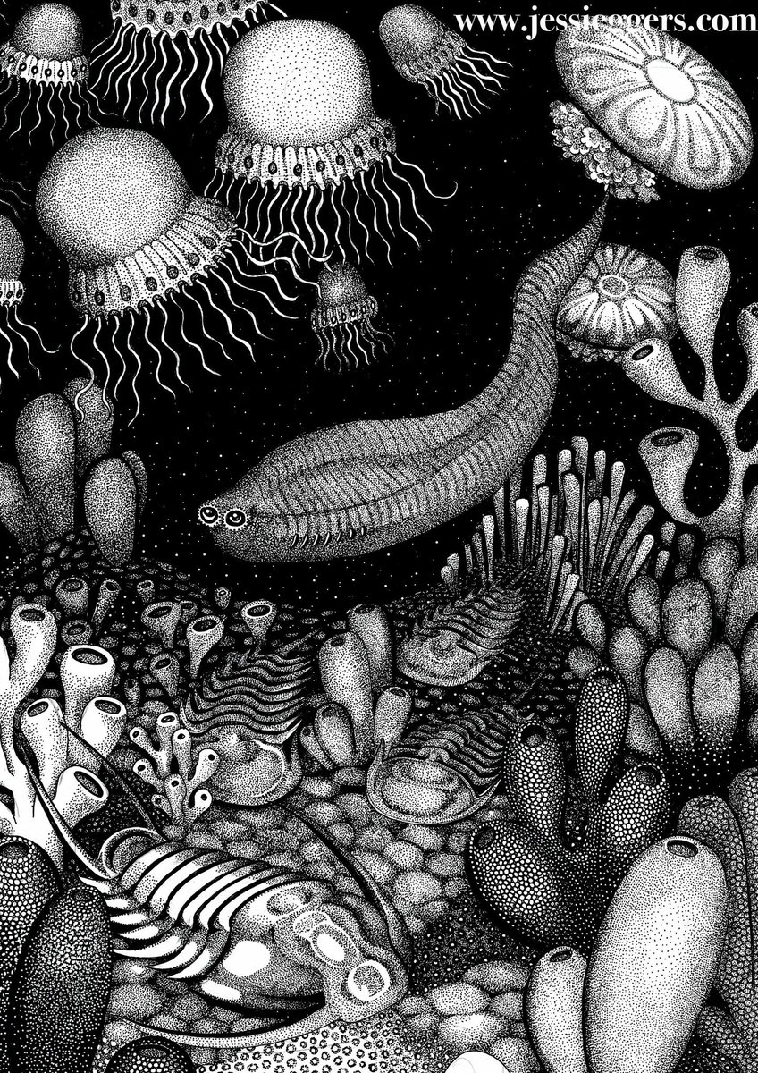 Jessica Eggers tweet media