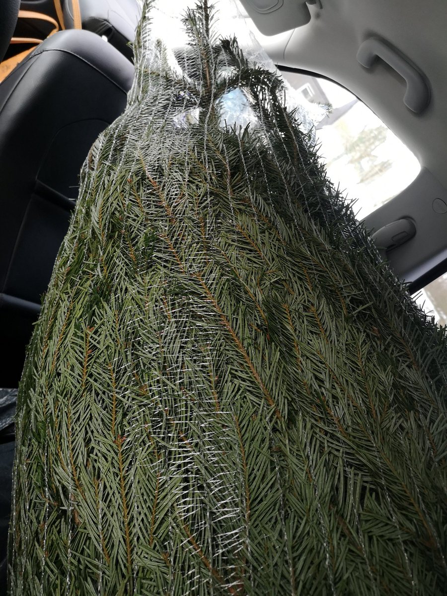 Meine Frau tut mir so leid mit mir😅
Sie hat extra mehrfach erwähnt, dieses Jahr einen kleinen Weihnachtsbaum!! Mehrfach und exakt darauf hingewiesen.. ehmm joa 😅 liegt alles im Auge des Betrachters 😂😂 🎄🎅
Ca. 16 Uhr Deko Live Stream