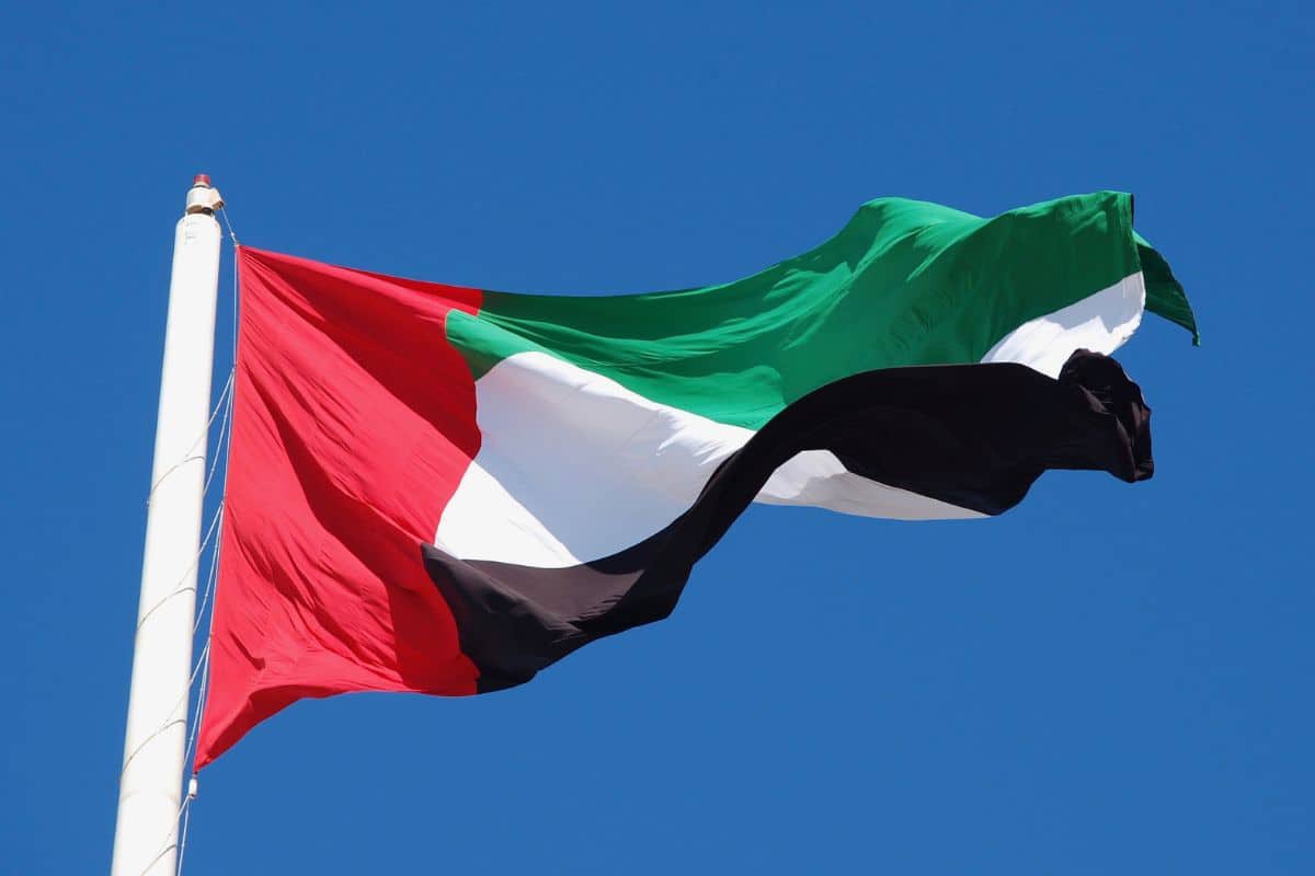 Happy National Day UAE 🇦🇪
#UAENationalDay2023