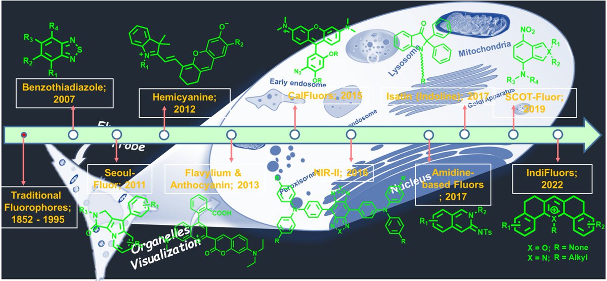 MunanSubrata's tweet photo. I am delighted to share our recent 'Feature article,' published in @ChemCommun 2023, @RoySocChem. "Chronological Development of Functional Fluorophores for Bio-Imaging."
https://t.co/iGxs1KRq5h
Thanks to @IndiaDST @serbonline @snuchemistry @ShivNadarUniv @ShivNadarFDN @AniSNUChem https://t.co/E3tS16R8pg