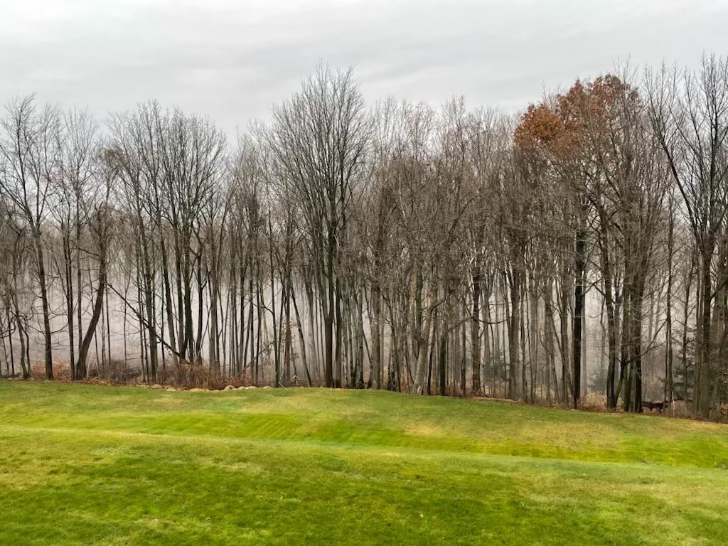 Cool picture of the back 40 this morning as the fog is settled in the woods.
