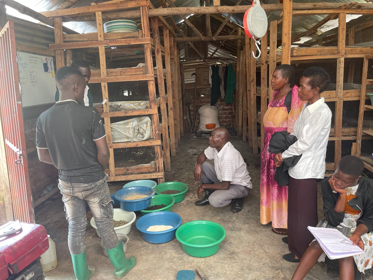 JanepherMatini's tweet photo. Today's training  brought together women, men, and young girls at the frontline to fight  poverty and climate change  using the Maggot Farming Technology and challenging the patriarchal beliefs in our society.@resolutionproj @MastercardFdn ,@WIN_CENTRE ,@echoinggreen https://t.co/ZJ8mCk7Y7R