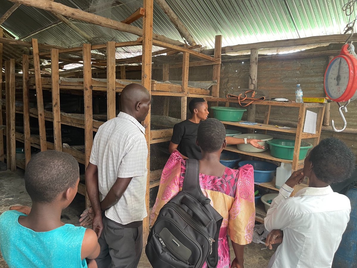 JanepherMatini's tweet photo. Today's training  brought together women, men, and young girls at the frontline to fight  poverty and climate change  using the Maggot Farming Technology and challenging the patriarchal beliefs in our society.@resolutionproj @MastercardFdn ,@WIN_CENTRE ,@echoinggreen https://t.co/ZJ8mCk7Y7R