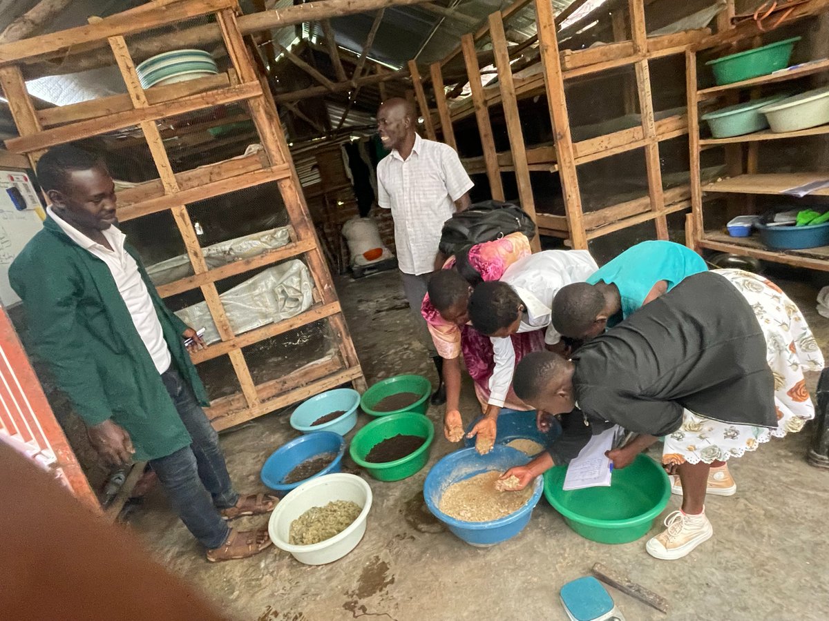JanepherMatini's tweet photo. Today's training  brought together women, men, and young girls at the frontline to fight  poverty and climate change  using the Maggot Farming Technology and challenging the patriarchal beliefs in our society.@resolutionproj @MastercardFdn ,@WIN_CENTRE ,@echoinggreen https://t.co/ZJ8mCk7Y7R