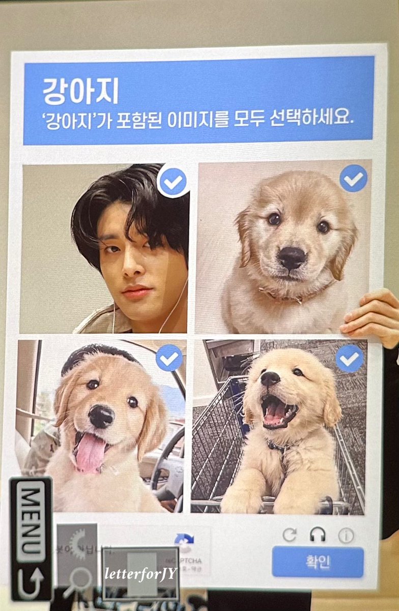 레터 tweet media