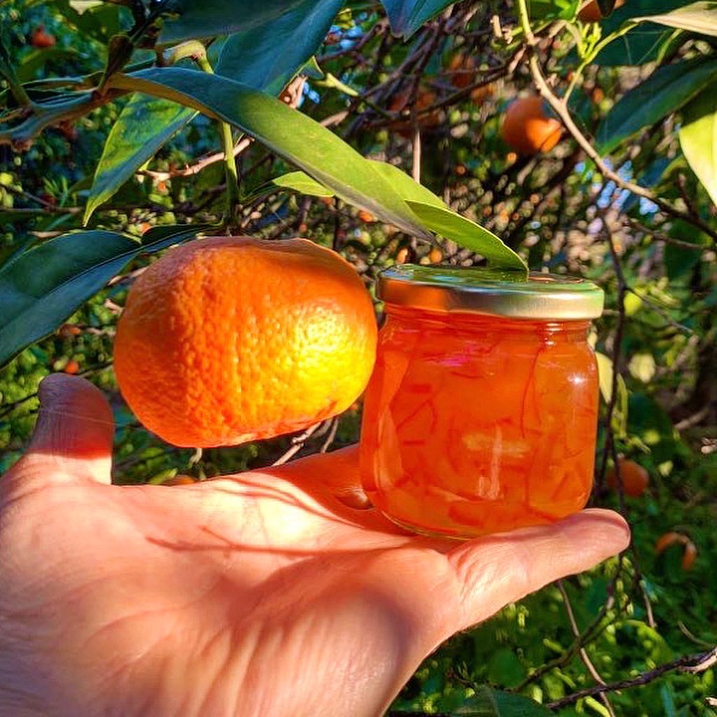 Ready for the most wonderful Gospa Seville Oranges for your lovely Marmalade? No. 1 in the UK last year in the International Marmalade Awards! Soon…
♥️VISITS👉info@gospacitrus.com
👉👉#ChooseGospa
#GospaCitrus #organic #stnicolaoranges #visitseville #seville #sevilleoranges