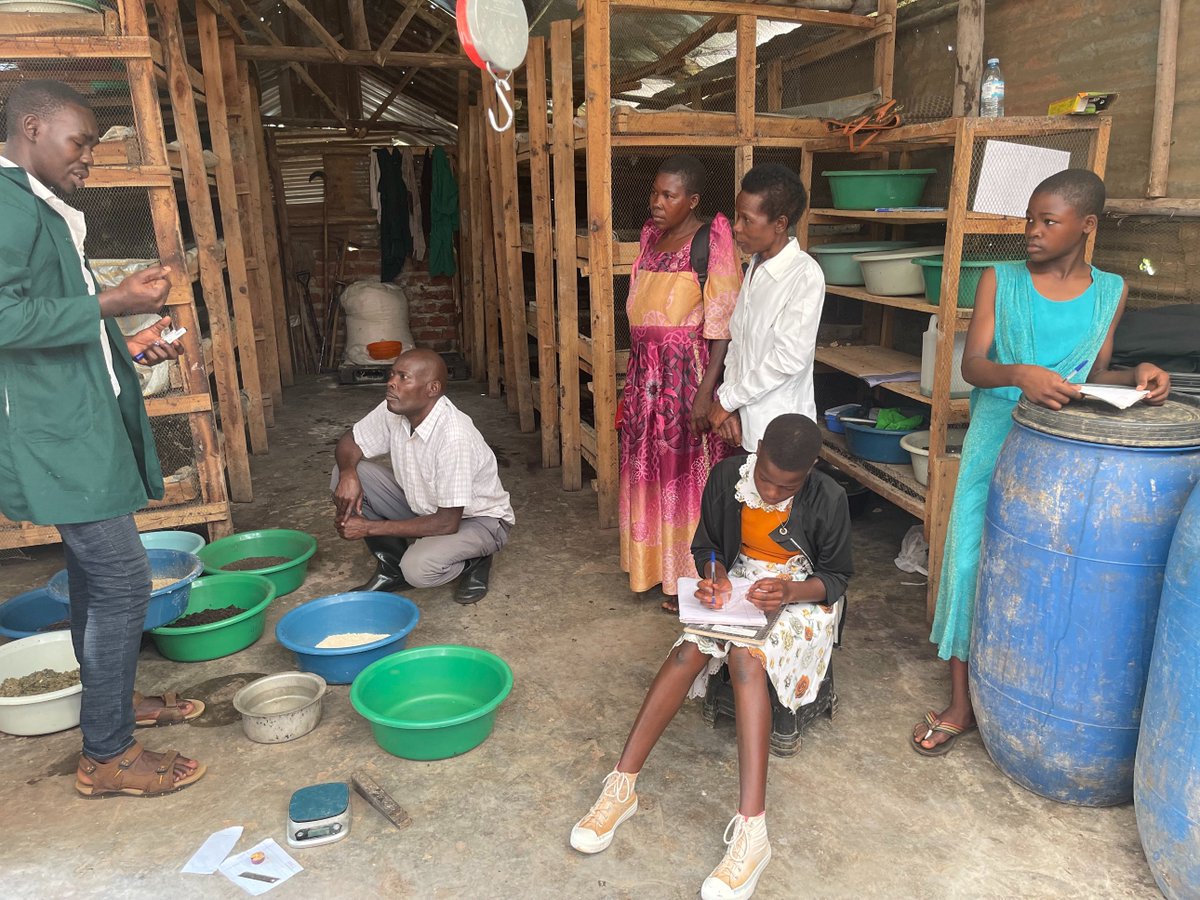 JanepherMatini's tweet photo. Today's training  brought together women, men, and young girls at the frontline to fight  poverty and climate change  using the Maggot Farming Technology and challenging the patriarchal beliefs in our society.@resolutionproj @MastercardFdn ,@WIN_CENTRE ,@echoinggreen https://t.co/ZJ8mCk7Y7R